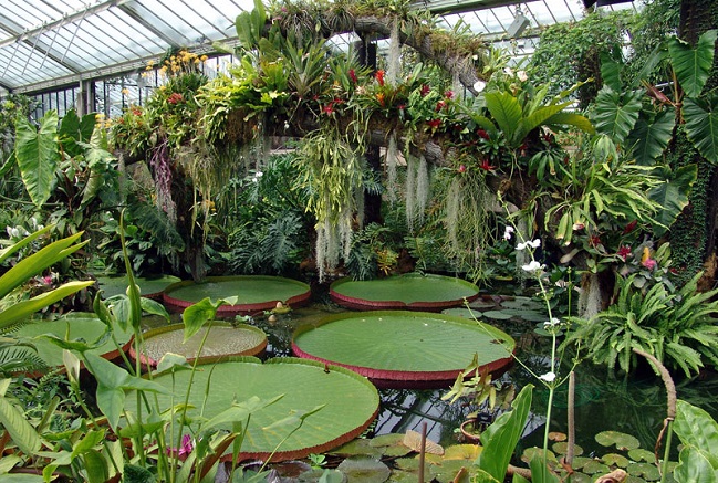 10 самых красивых садов в мире, 20 фото
