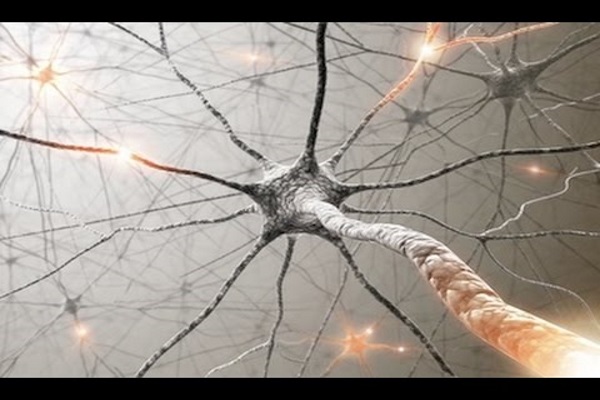 Мощное «оружие»: 9 удивительных фактов о работе мозга