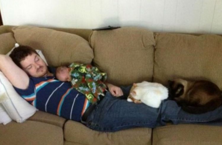 Когда родители устали: 40 смешных фото