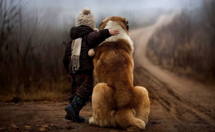 Собака — радость каждого ребенка, 50 милейших фото