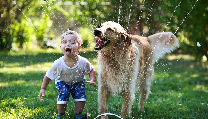 Собака — радость каждого ребенка, 50 милейших фото