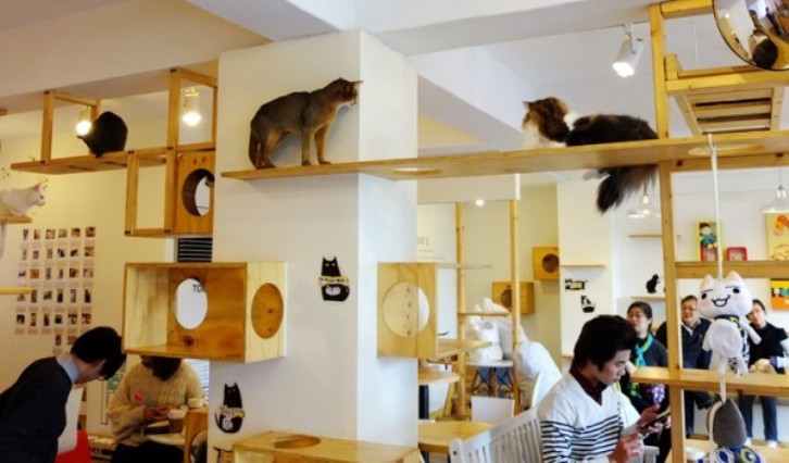 40 фото самых необычных кафе и ресторанов в мире