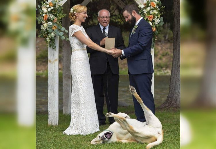 25 Strange Wedding Photos That Will Definitely Make You Laugh