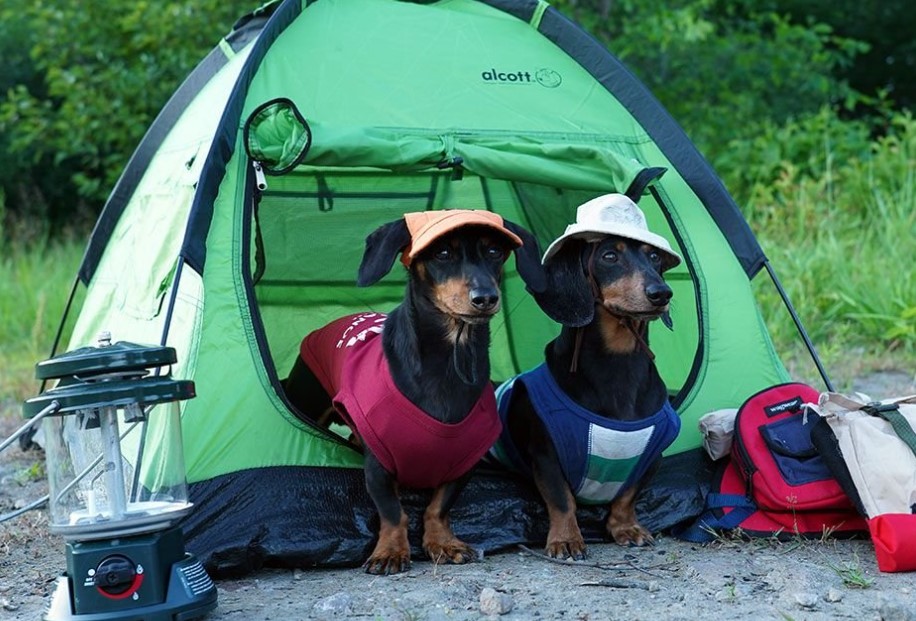Outdoor Oops: Laughing at the Unexpected Camping Moments