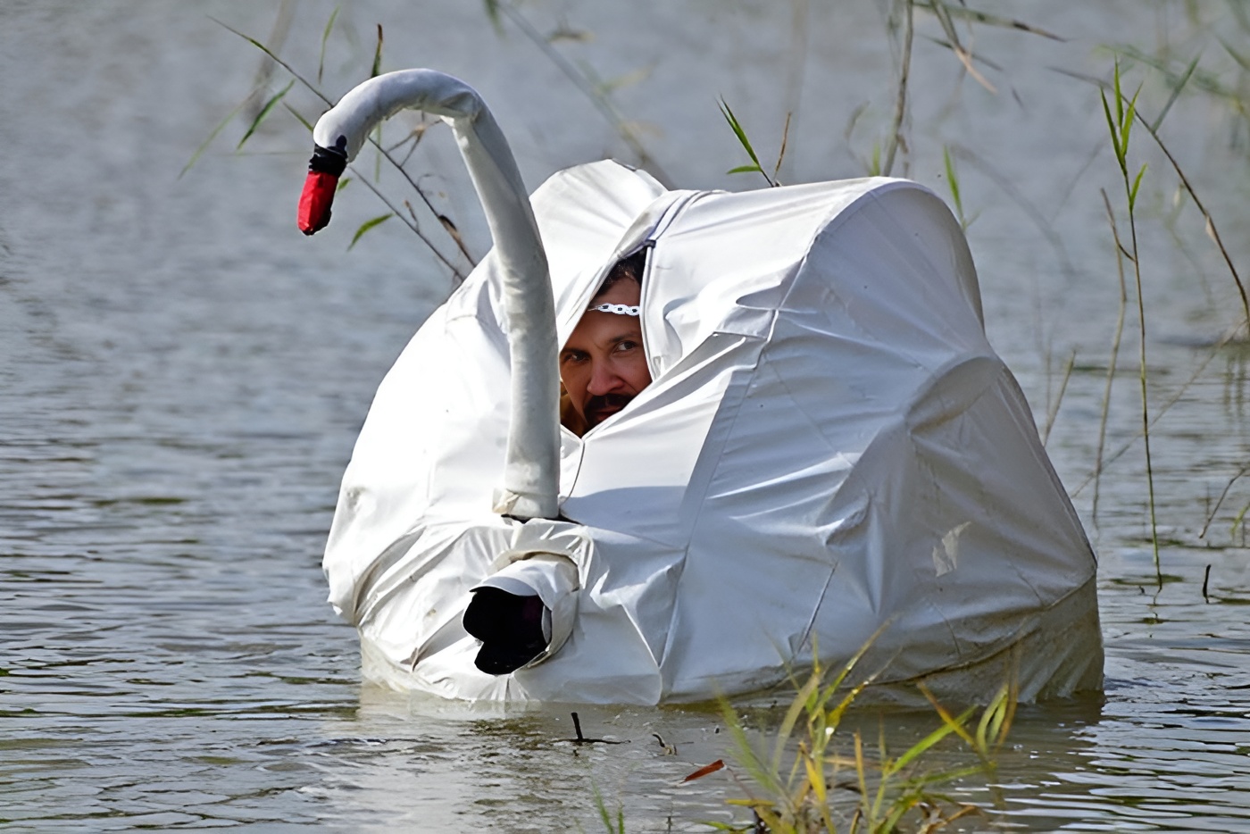 Hide and Seek Champions: 30 Funny Camouflage Moments