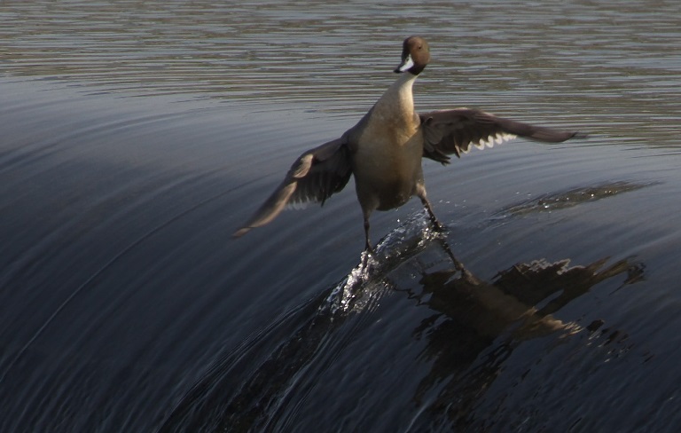 One-of-a-Kind Shots: 30 Moments You Can't Duplicate