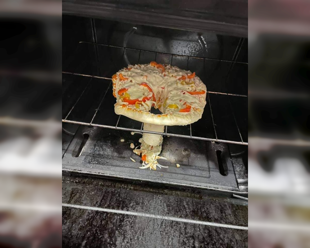 Kitchen Chronicles: Hilarious Culinary Mishaps in Photos